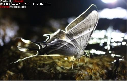 ܸ̽΢^硪ӛB(ti)֮